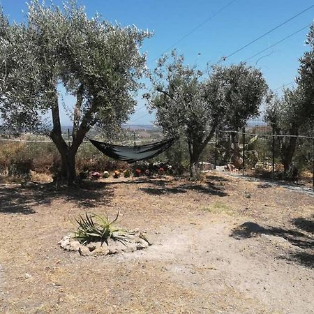 Villa Emma Con Panorama Etna A 10 Minuti Dal Mare Lentini Zewnętrze zdjęcie