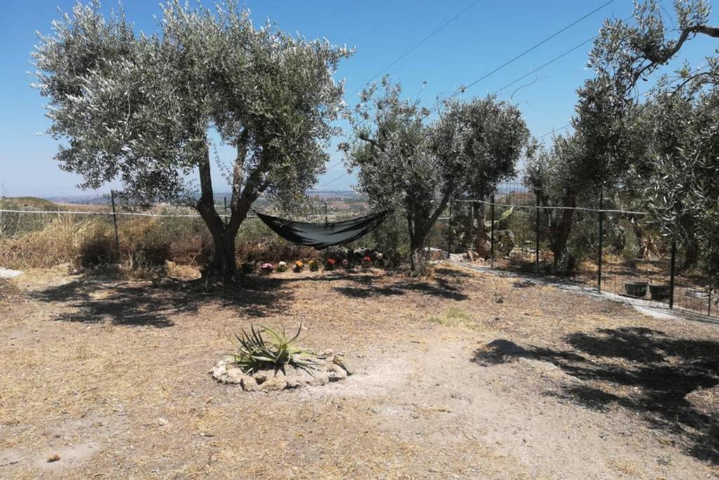 Villa Emma Con Panorama Etna A 10 Minuti Dal Mare Lentini Zewnętrze zdjęcie