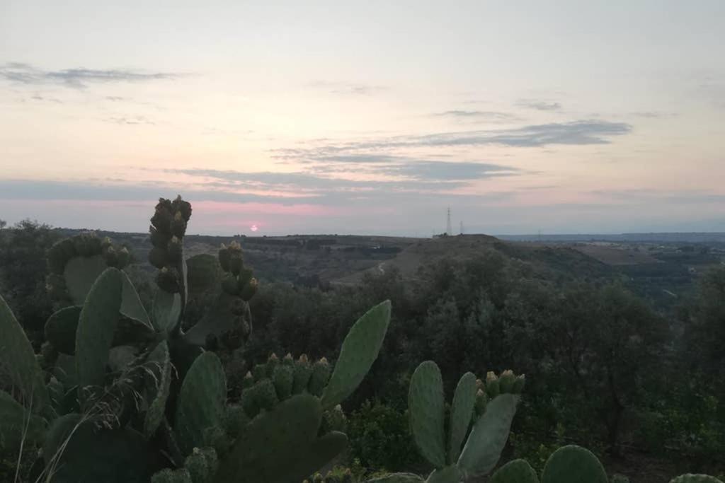 Villa Emma Con Panorama Etna A 10 Minuti Dal Mare Lentini Zewnętrze zdjęcie